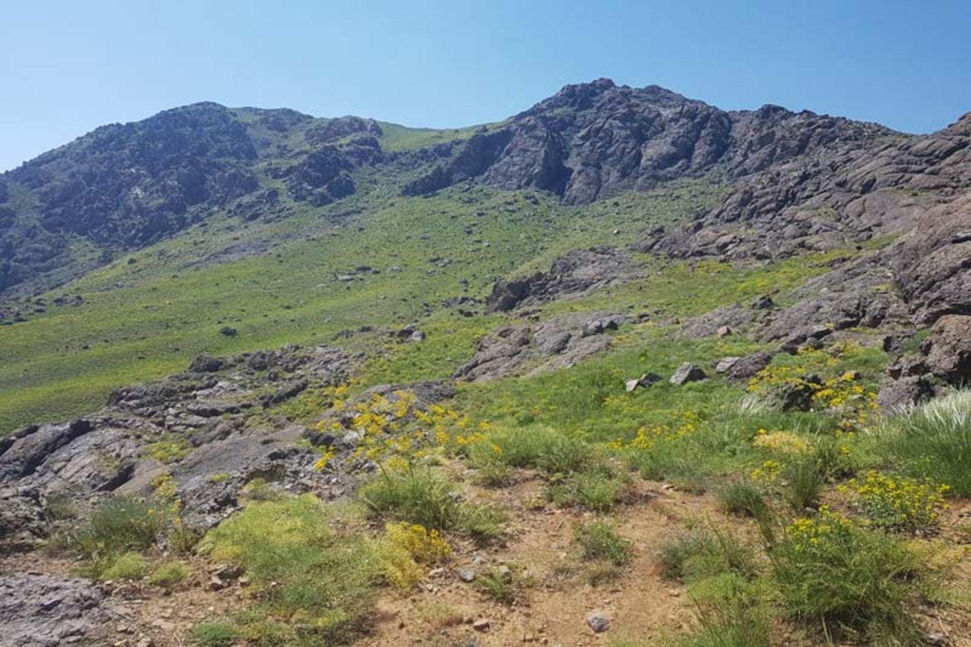 2021-6-93b7d4df-8863-4e1c-8d32-17b3f0b0c299