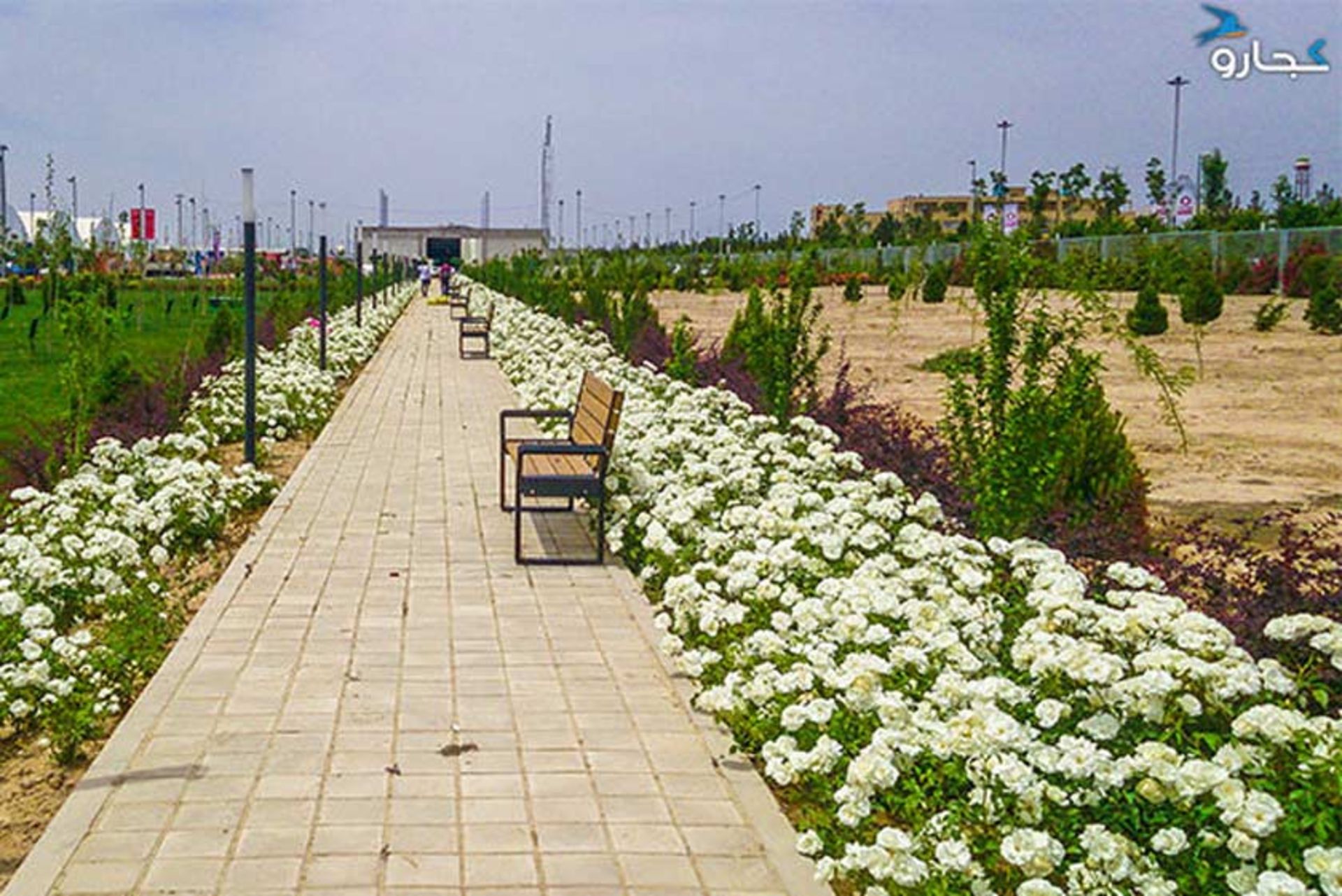 محوطه سبز شهر آفتاب