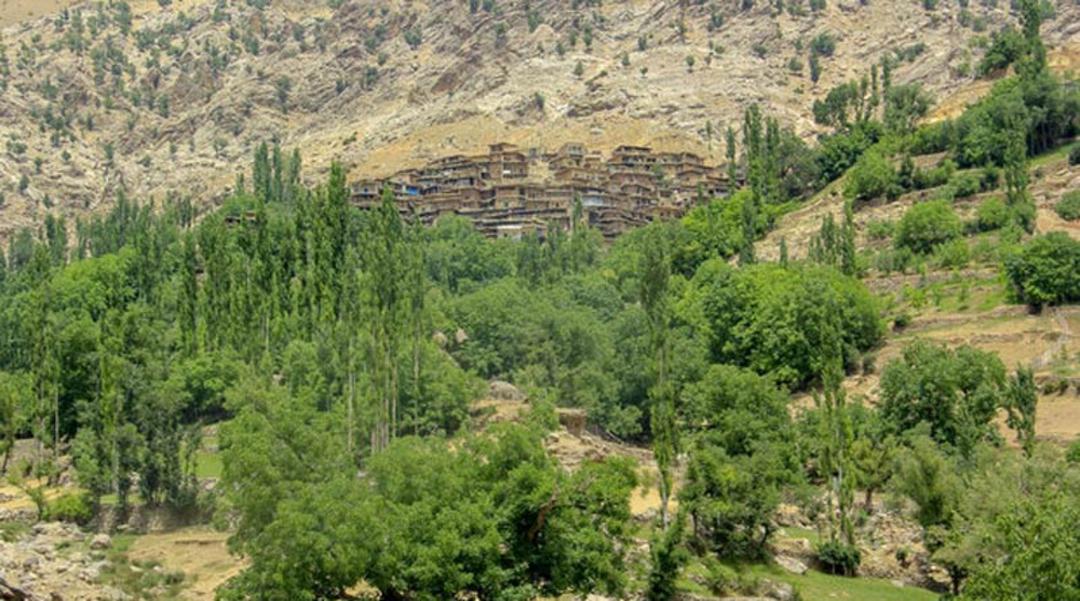 طبیعت سر سبز روستای سر آقا سید کوهرنگ در تابستان