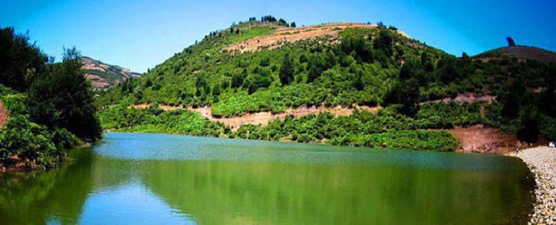 دریاچه شوک