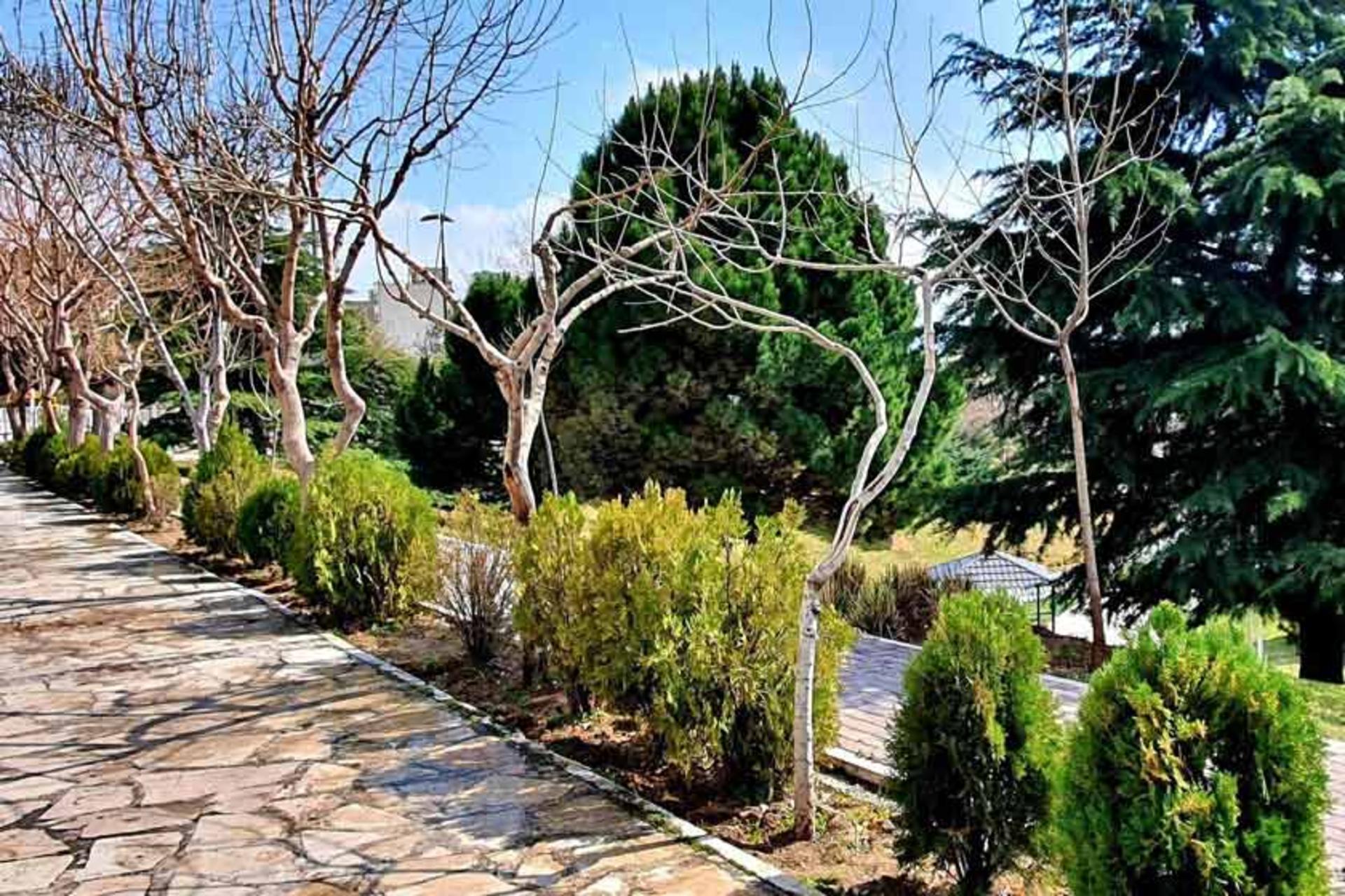 درختان سرسبز در پارک پلیس