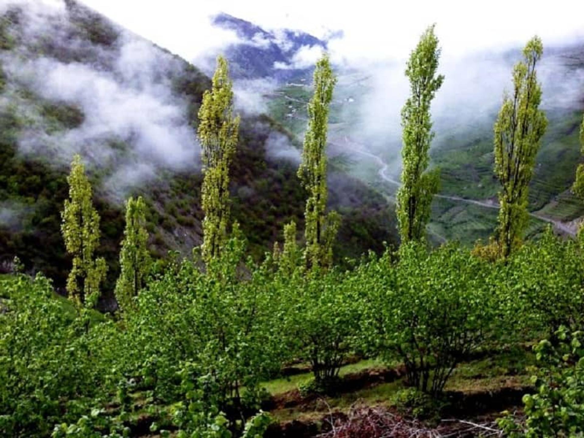 بهار اشکورات