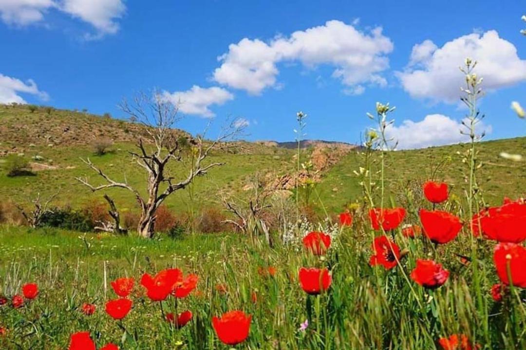منطقه حفاظت شده جاجرود