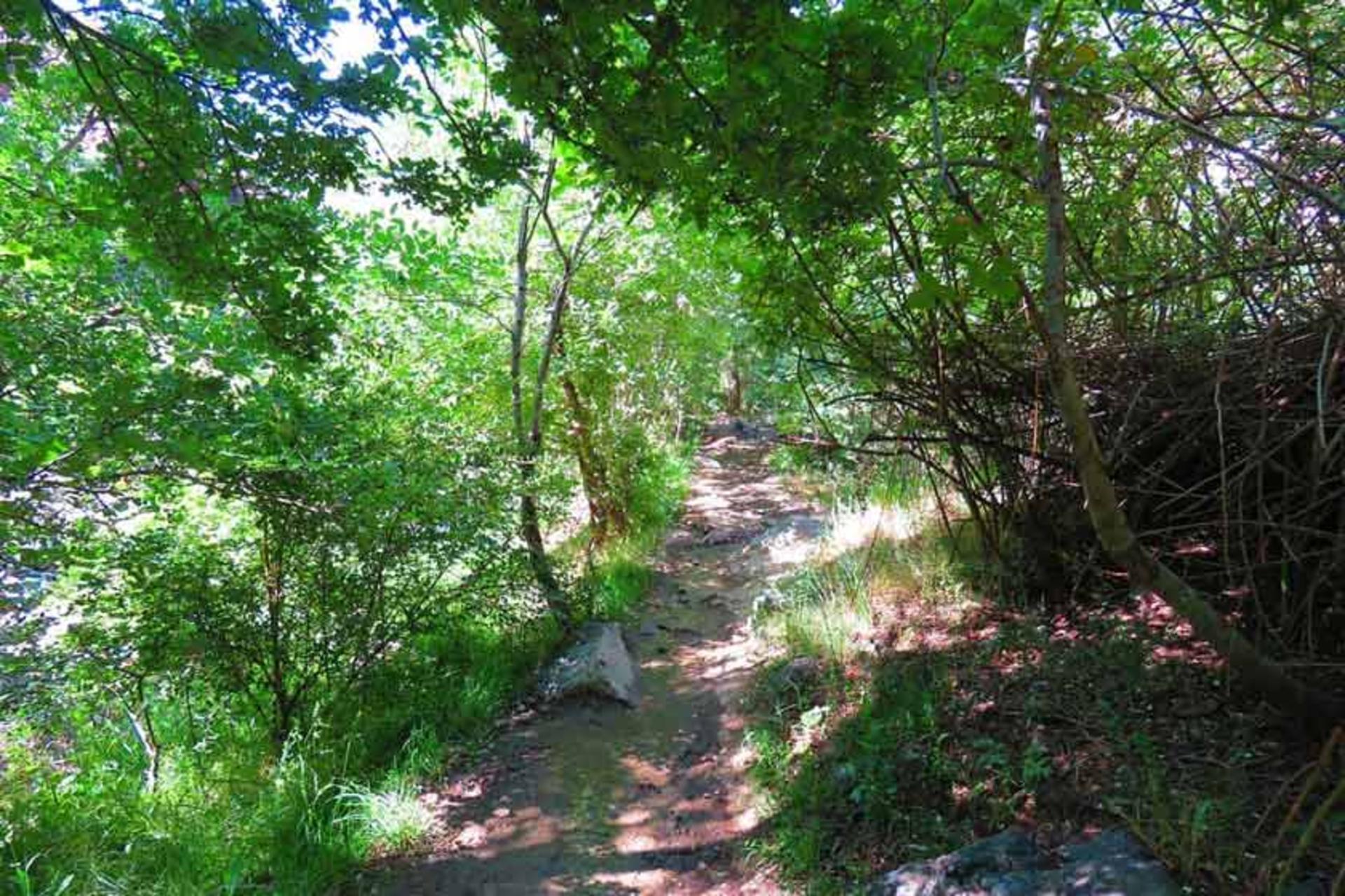 طبیعت‌گردی در گلابدره