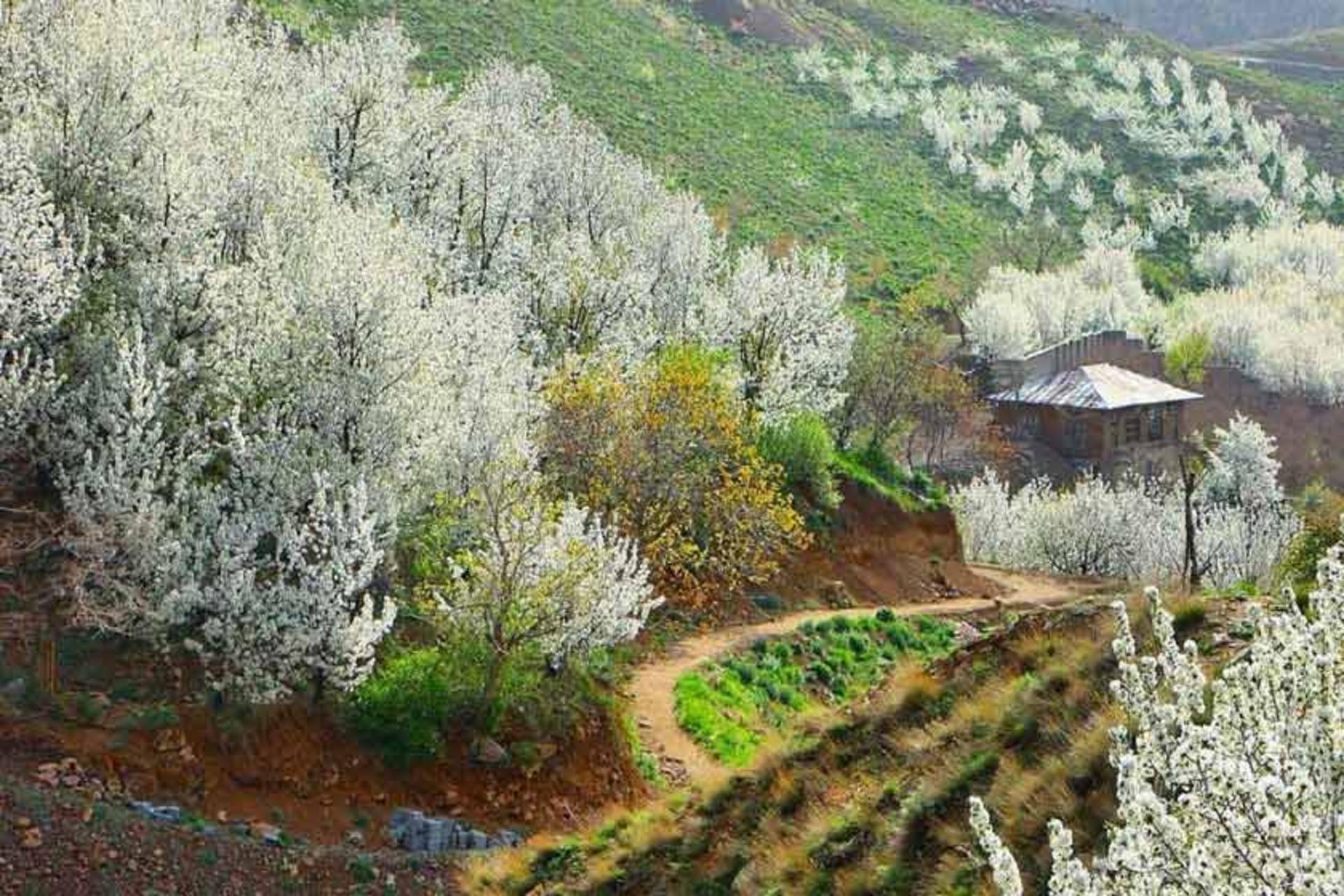 بهار در روستای سنگان