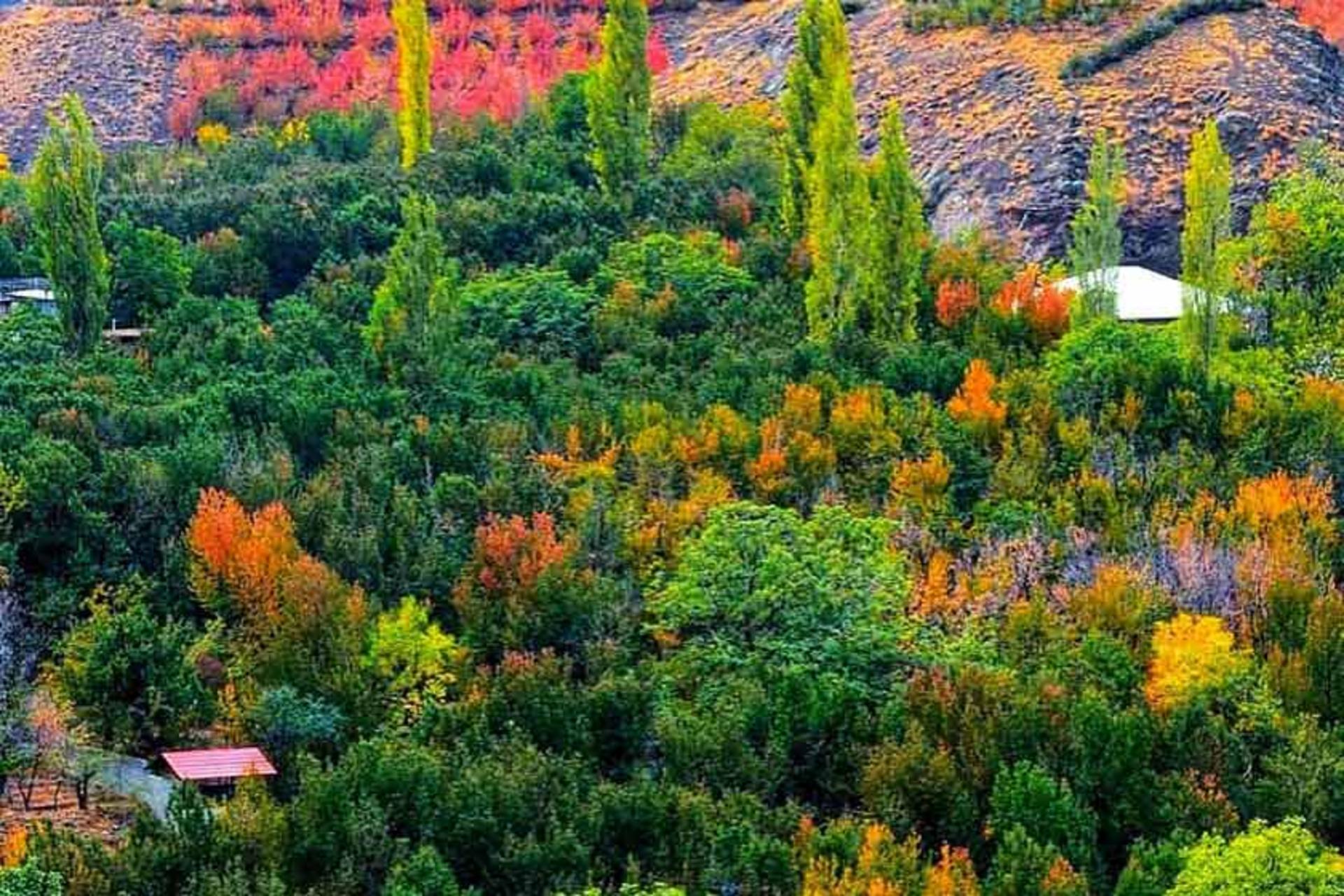 درختان پاییزی در روستای سنگان
