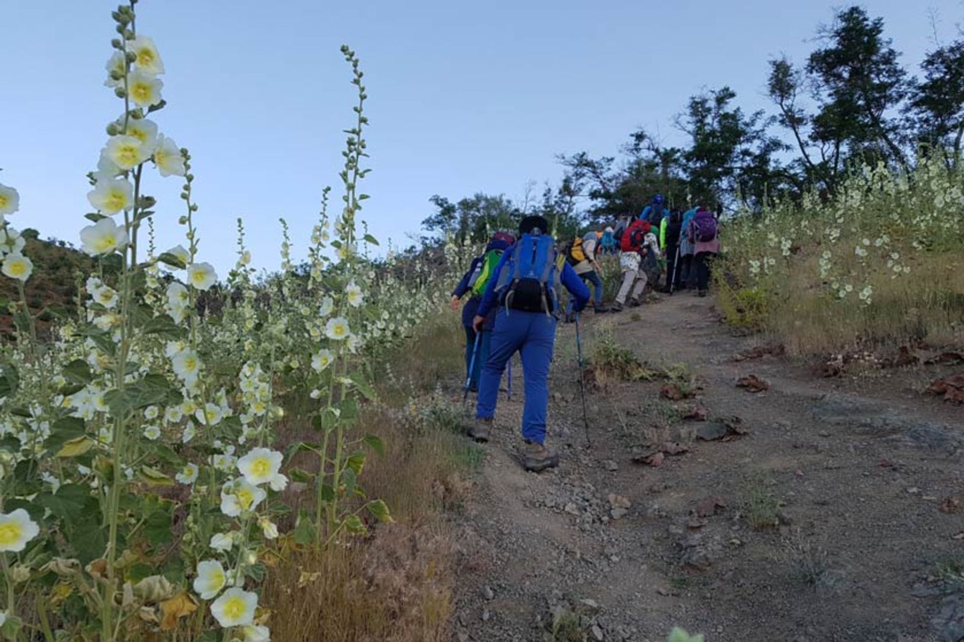کوهپیمایان در دره پیازچال