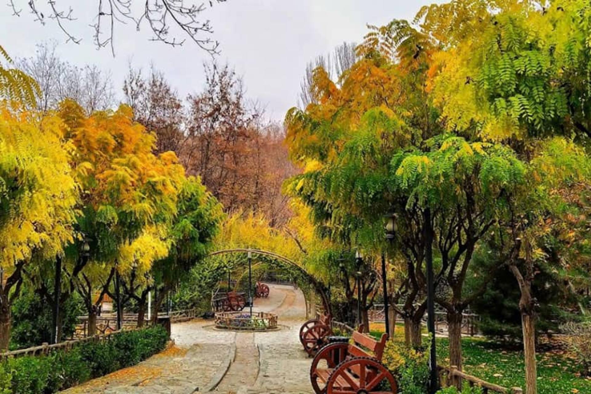 پارک جنگلی مشهد در پاییز رنگارنگ