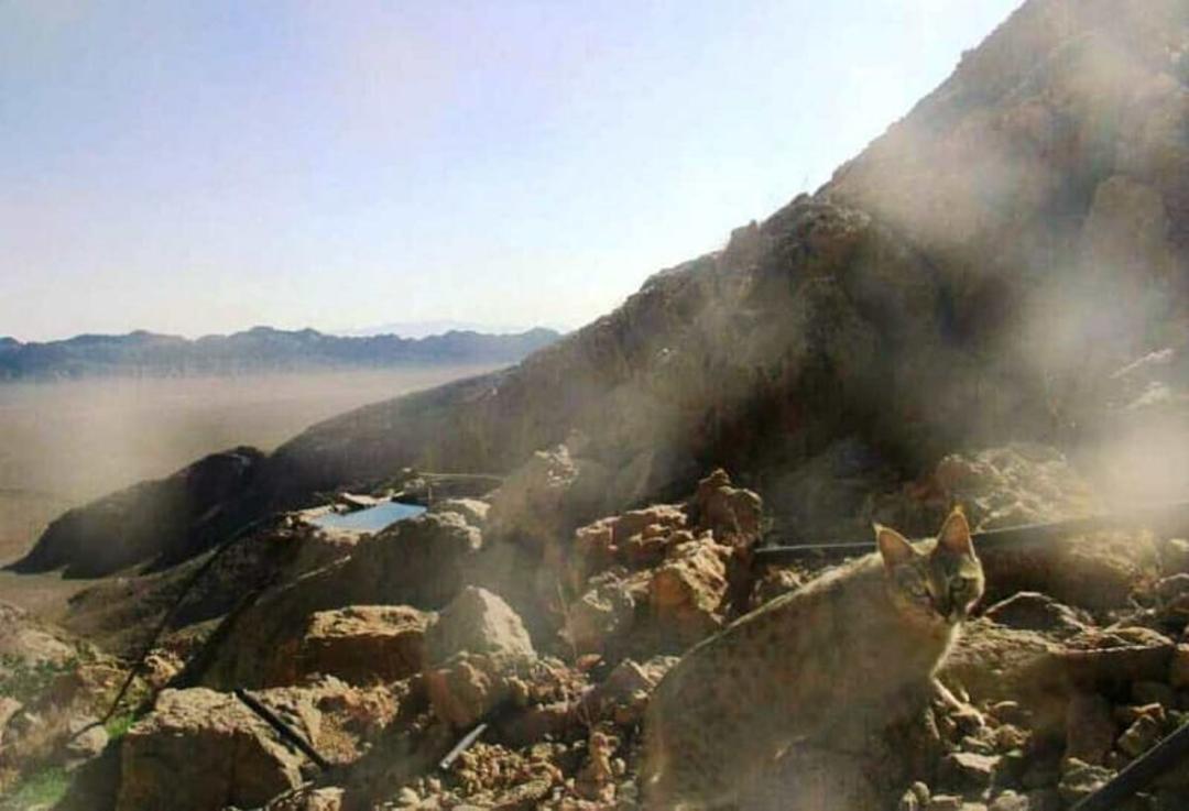 پارک ملی کلاه قاضی