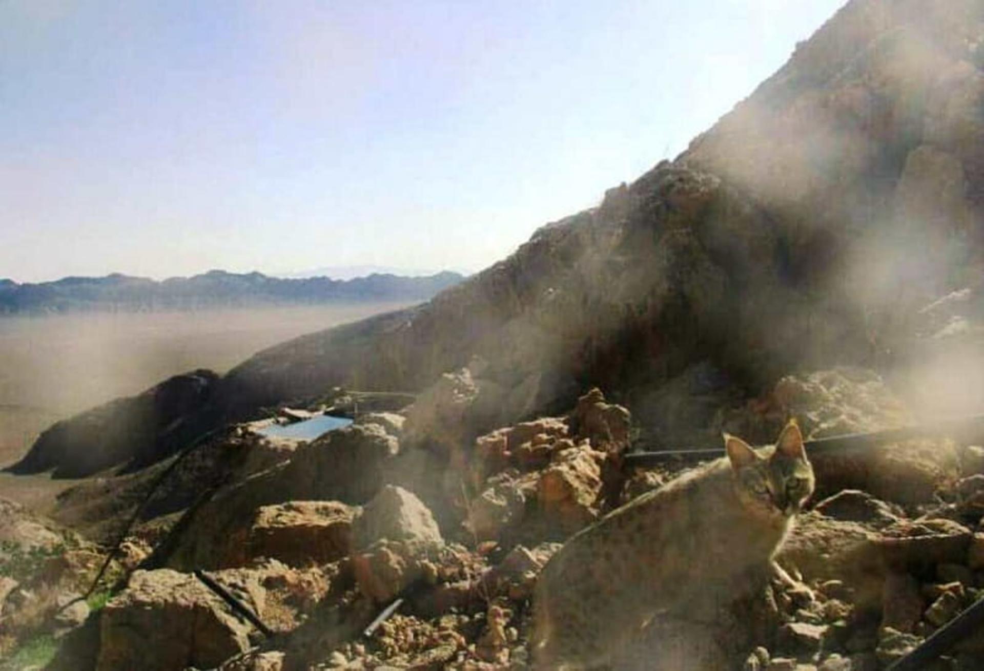 پارک ملی کلاه قاضی