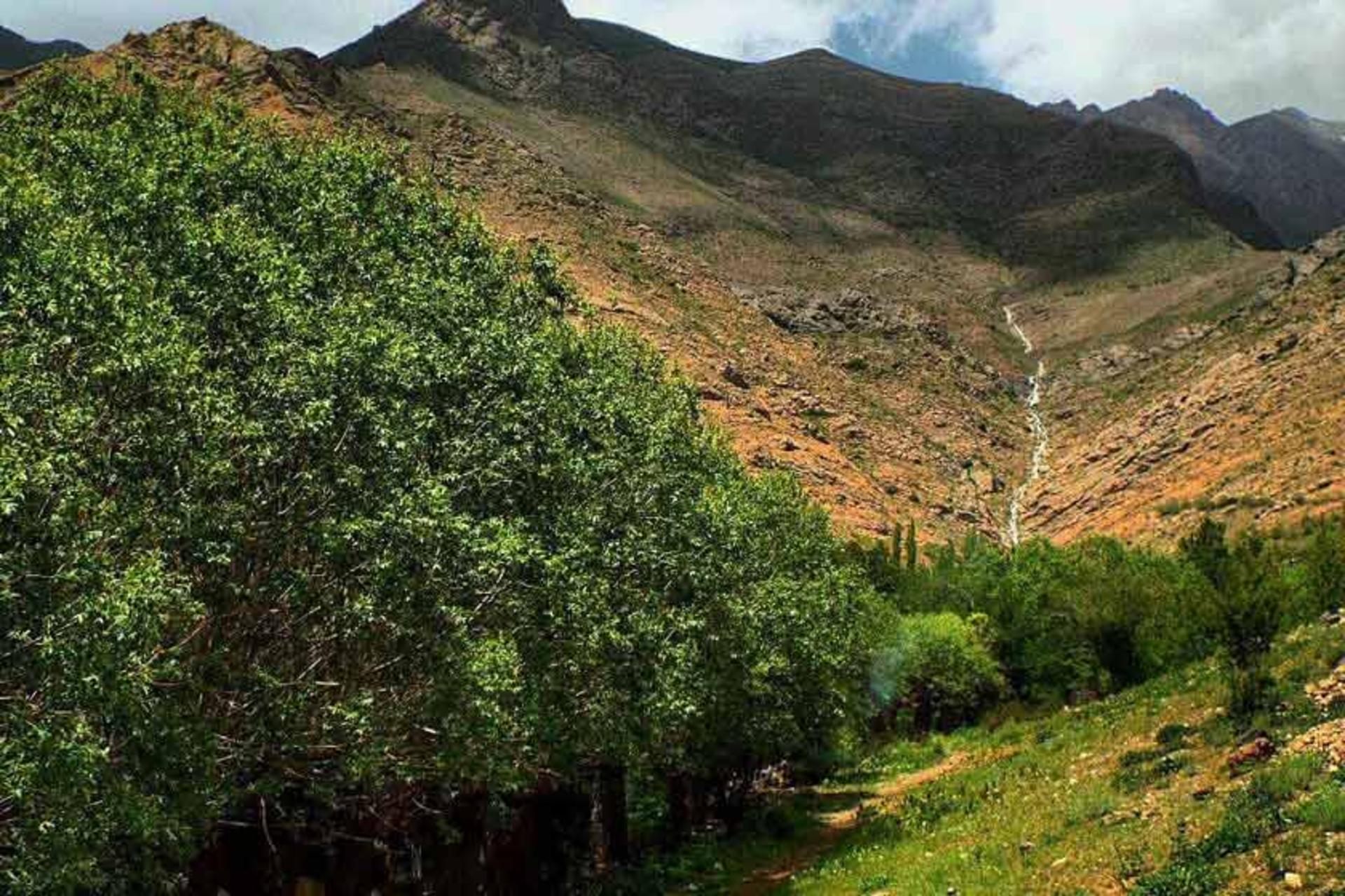 طبیعت پرطراوت دشت هویج