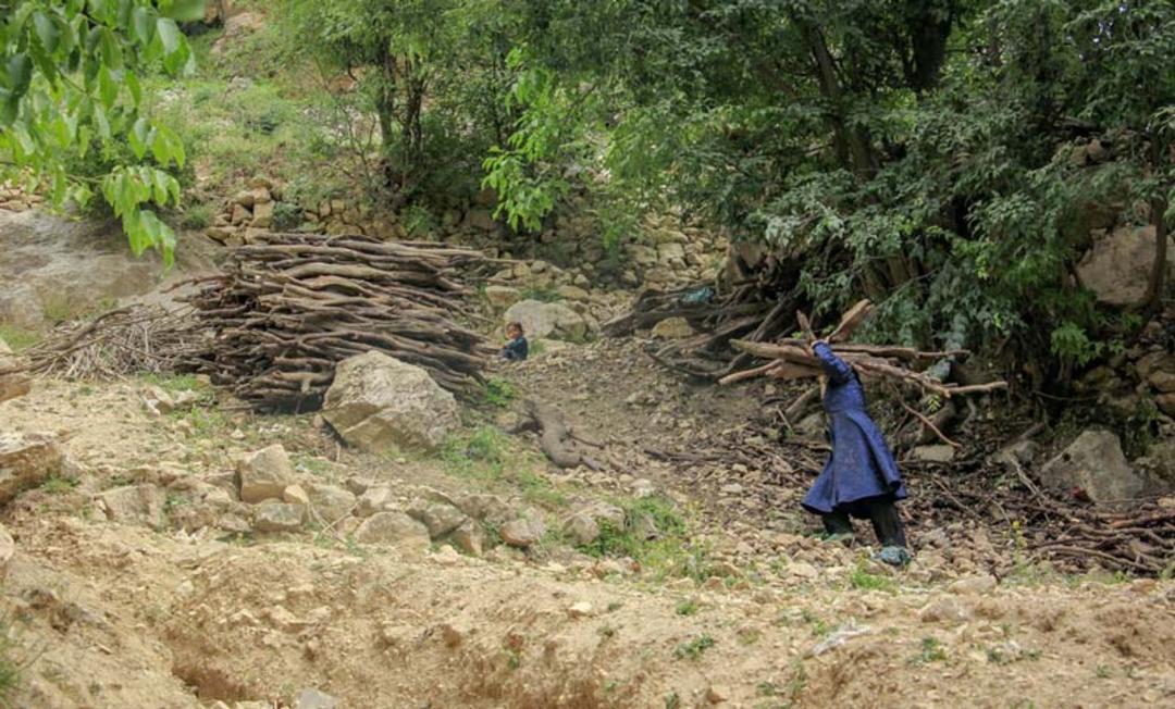 مرد روستایی در روستای سر آقا سید در حال حمل هیزم