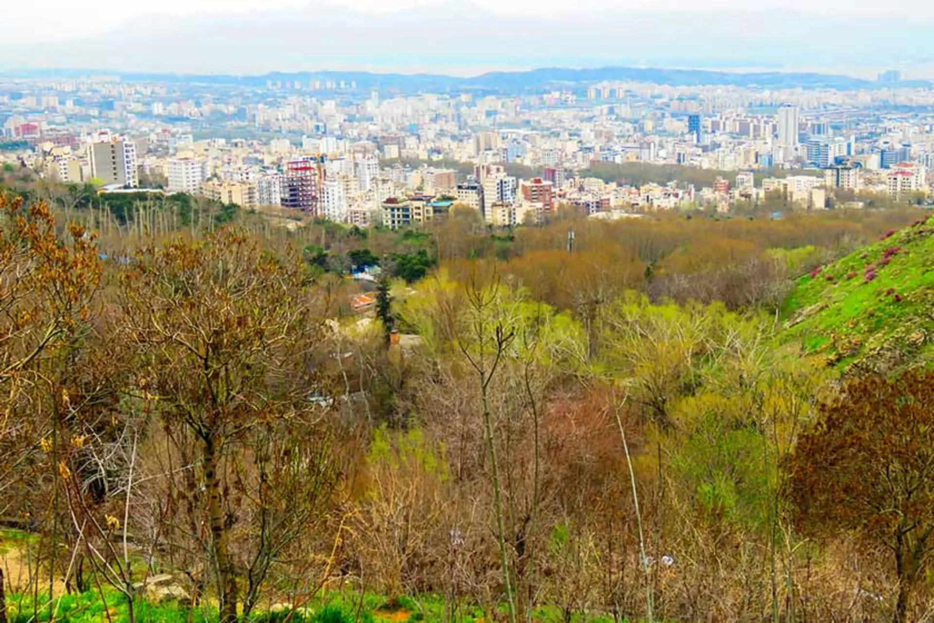 نمای تهران از کلکچال
