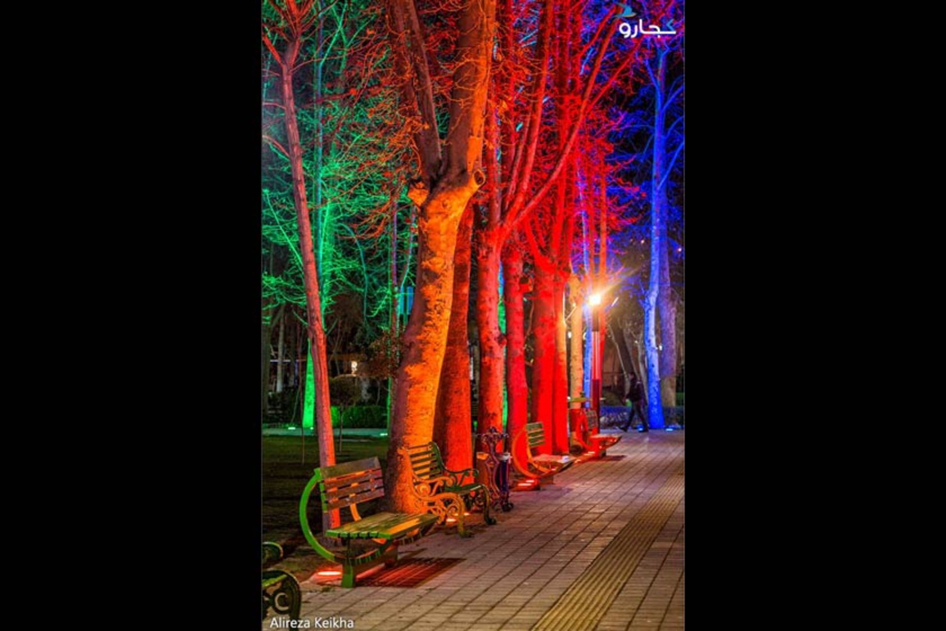 نورپردازی زیبای پارک اندیشه