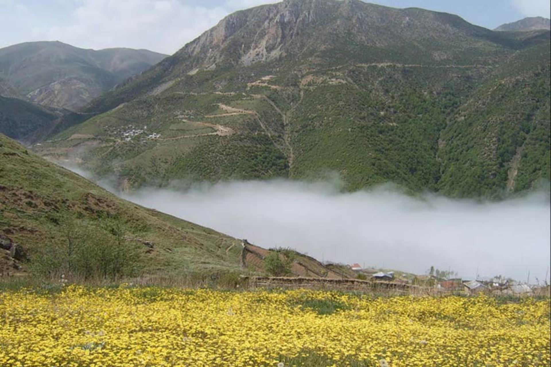روستای ییلاقی شیخ موسی