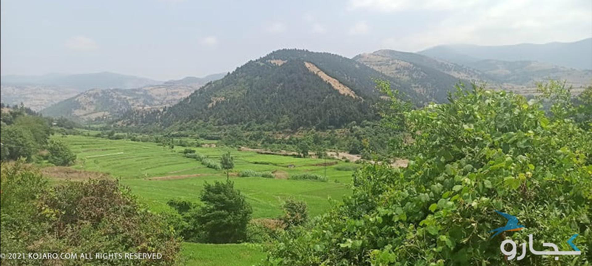 دشتویل