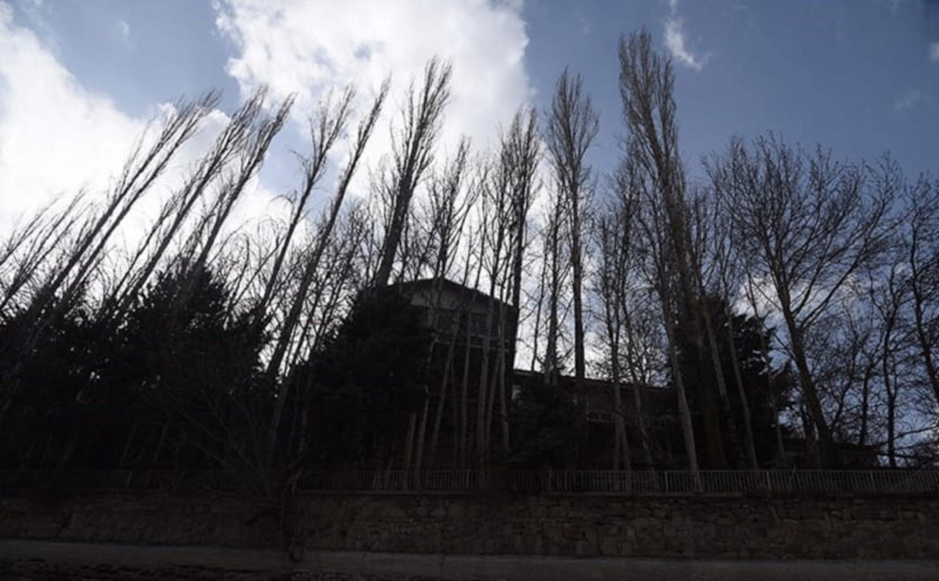 درختان روستای واریان