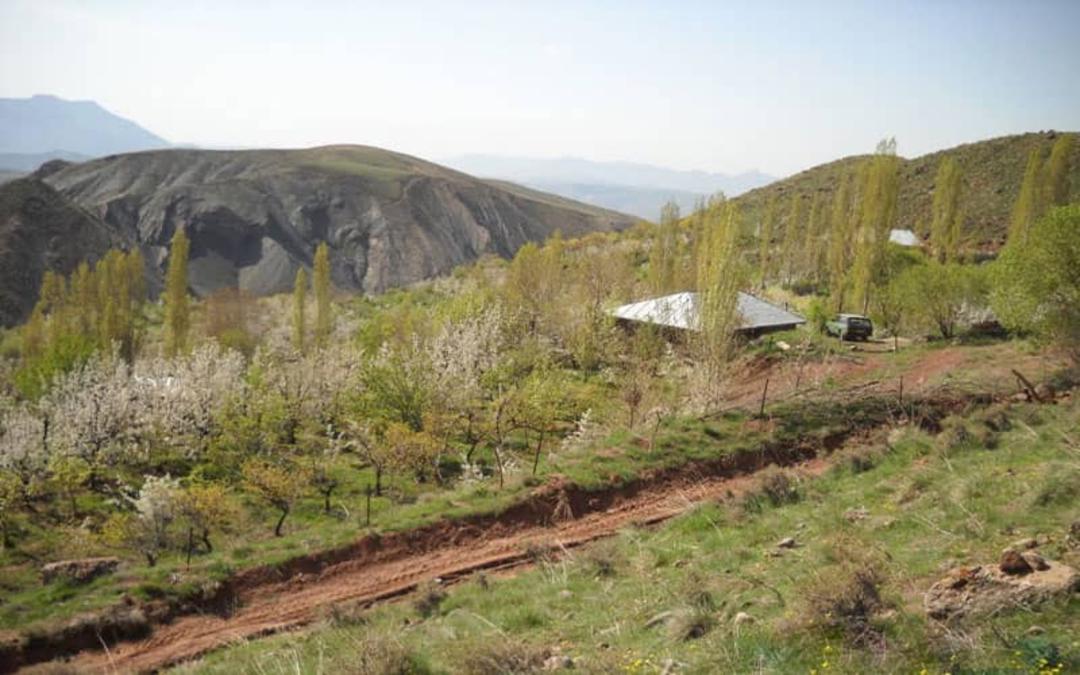طبیعت بهاری و سرسبز کند علیا