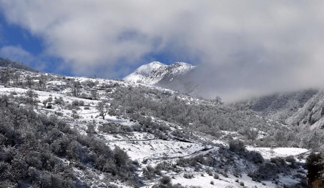 کوه های زیارت