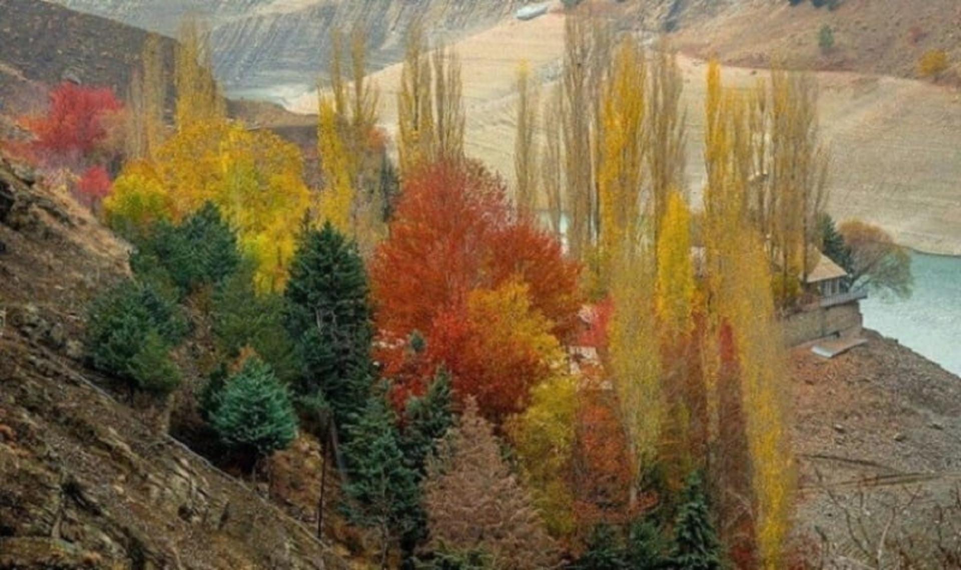 پاییز واریان