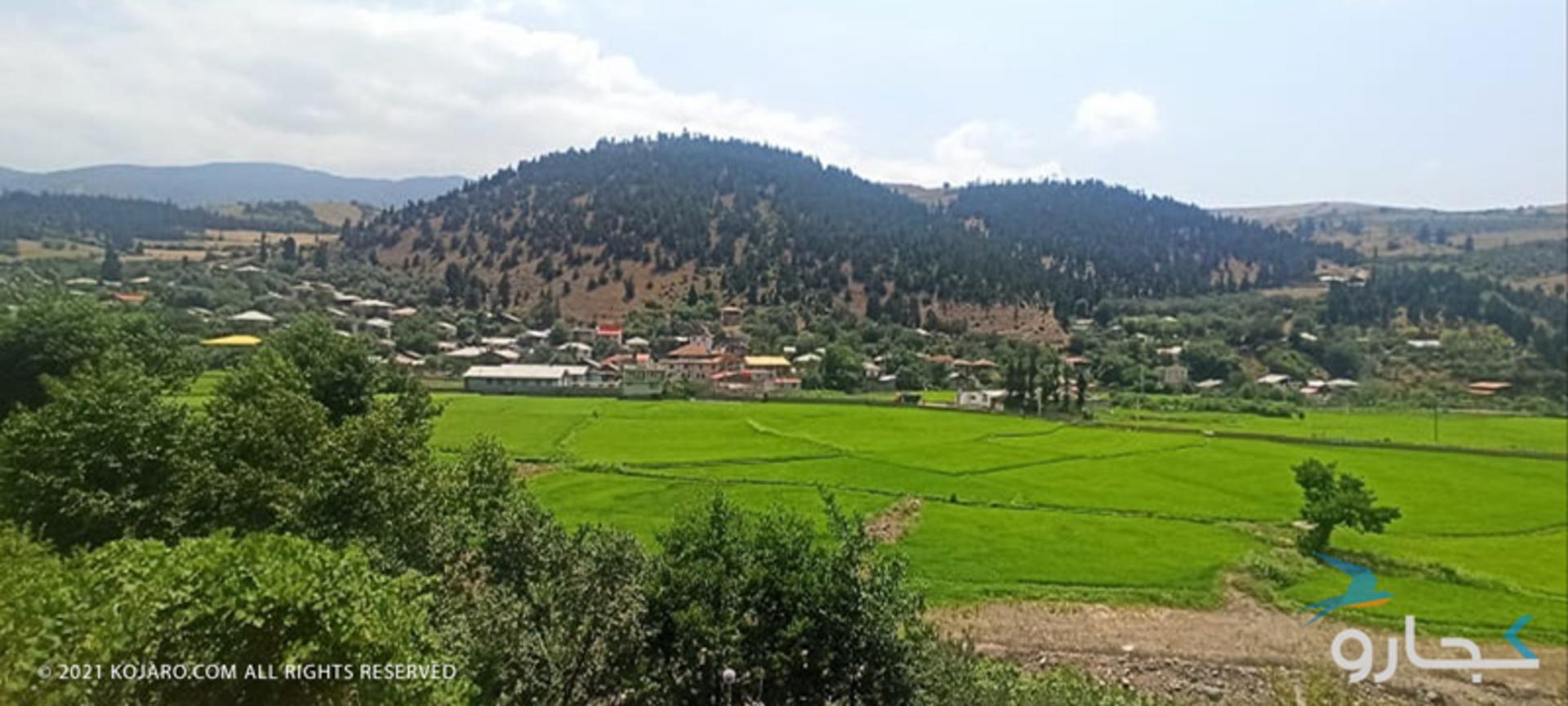 انارکول