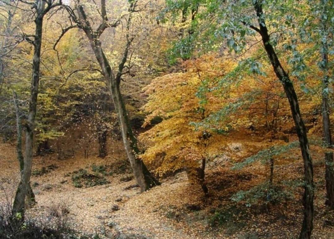 پاییز دل انگیز روستای زیارت