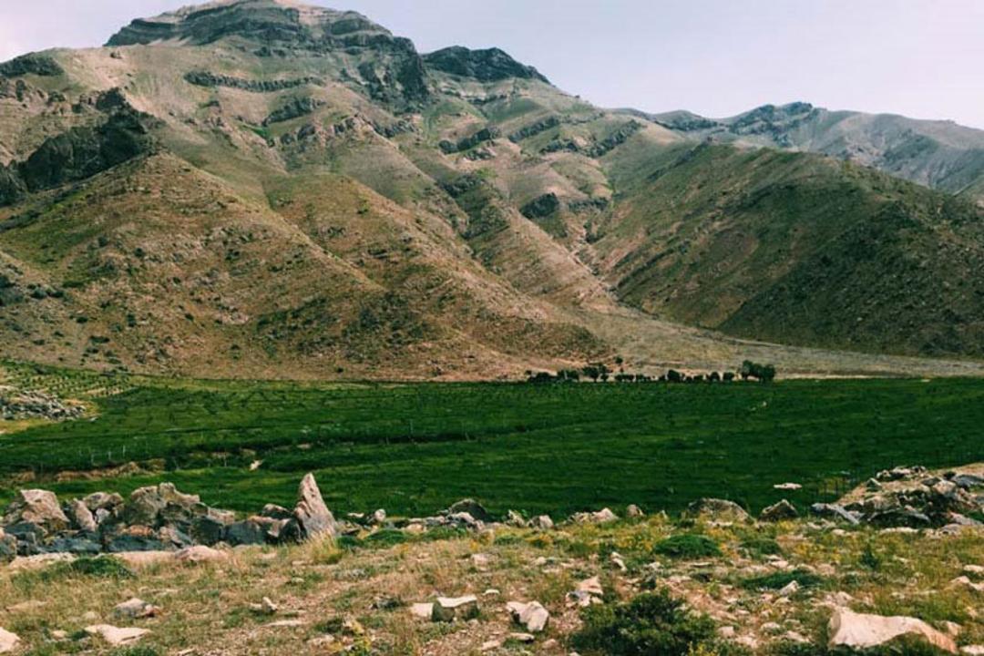 چشم انداز دشت هویچ ییلاق لواسان
