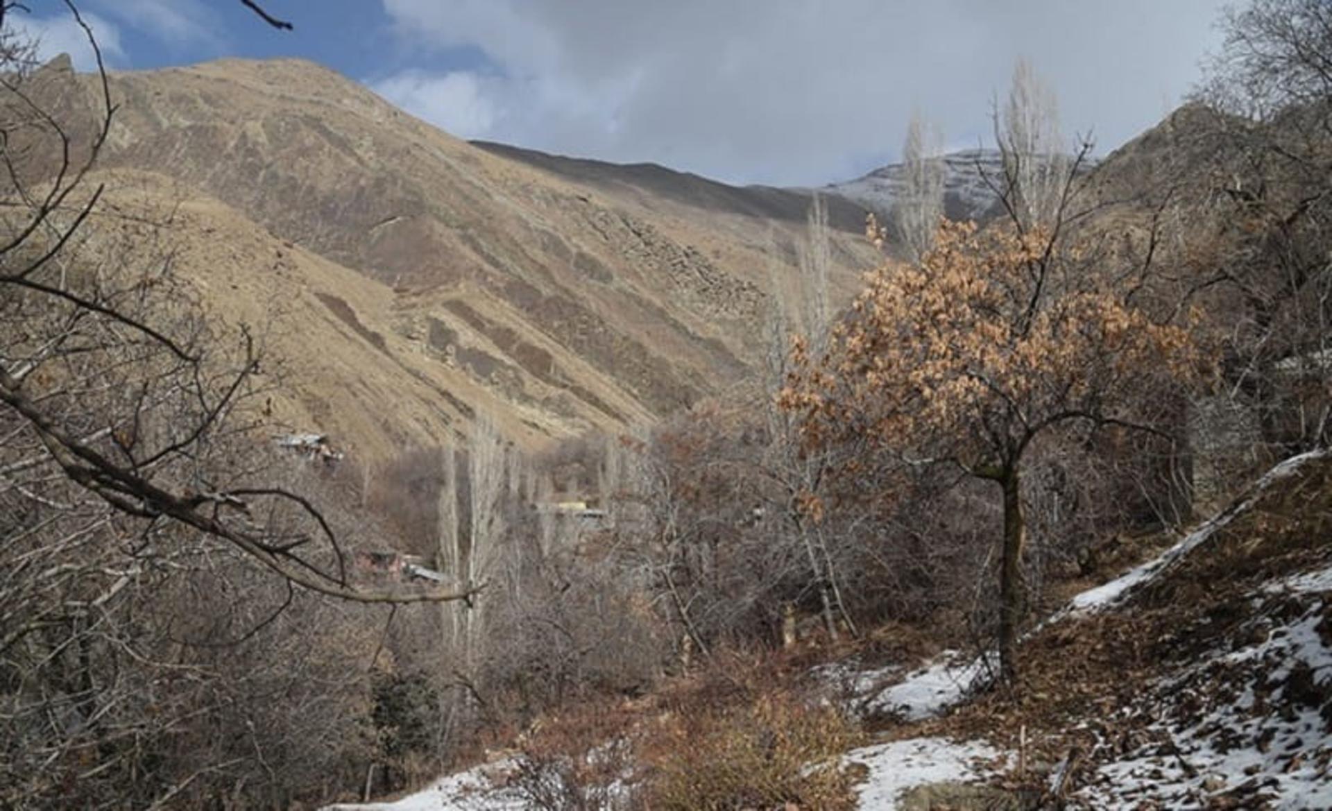 پوشش گیاهی روستای واریان