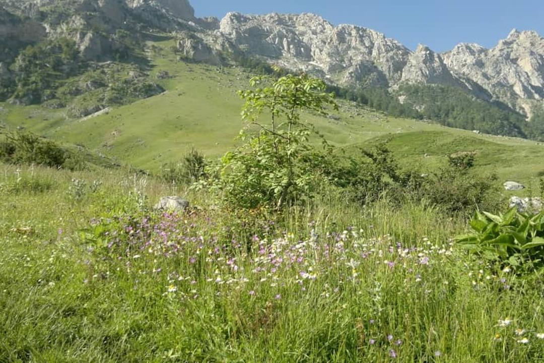 طبیعت سنگده