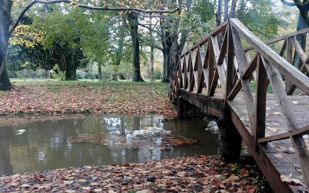 پل چوبی در میان باغ گیاه شناسی نوشهر