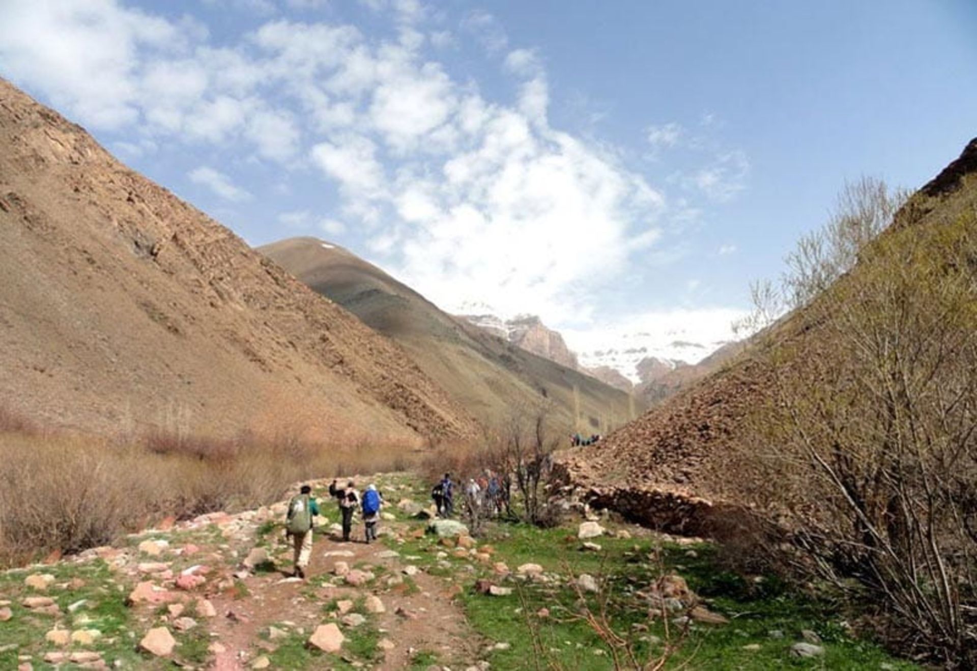 کوهنوردان در مسیر کوهنوردی قله رندان زیر آسمان ابری
