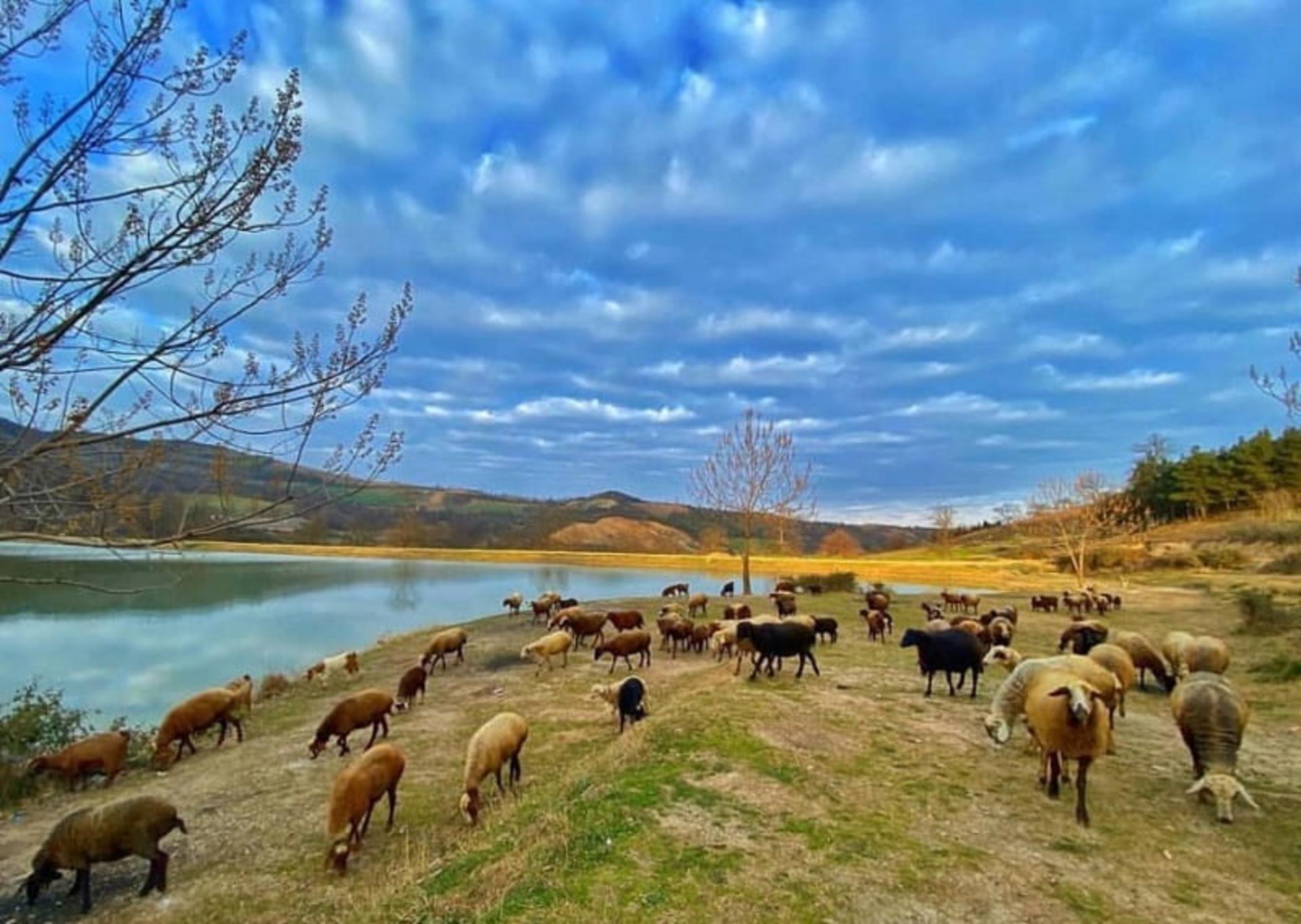 دریاچه توشن گرگان