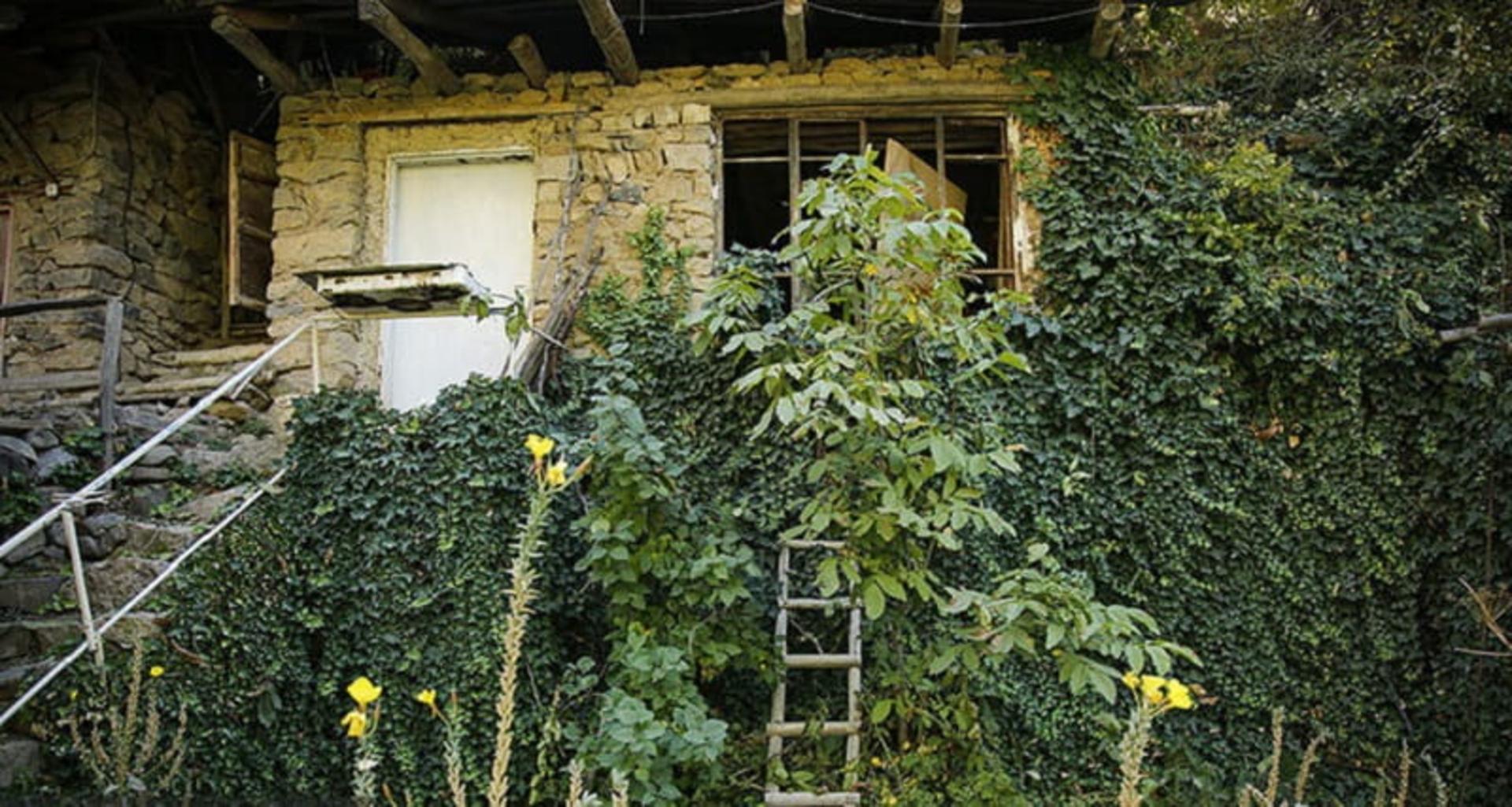 پوشش گیاهی روستای واریان