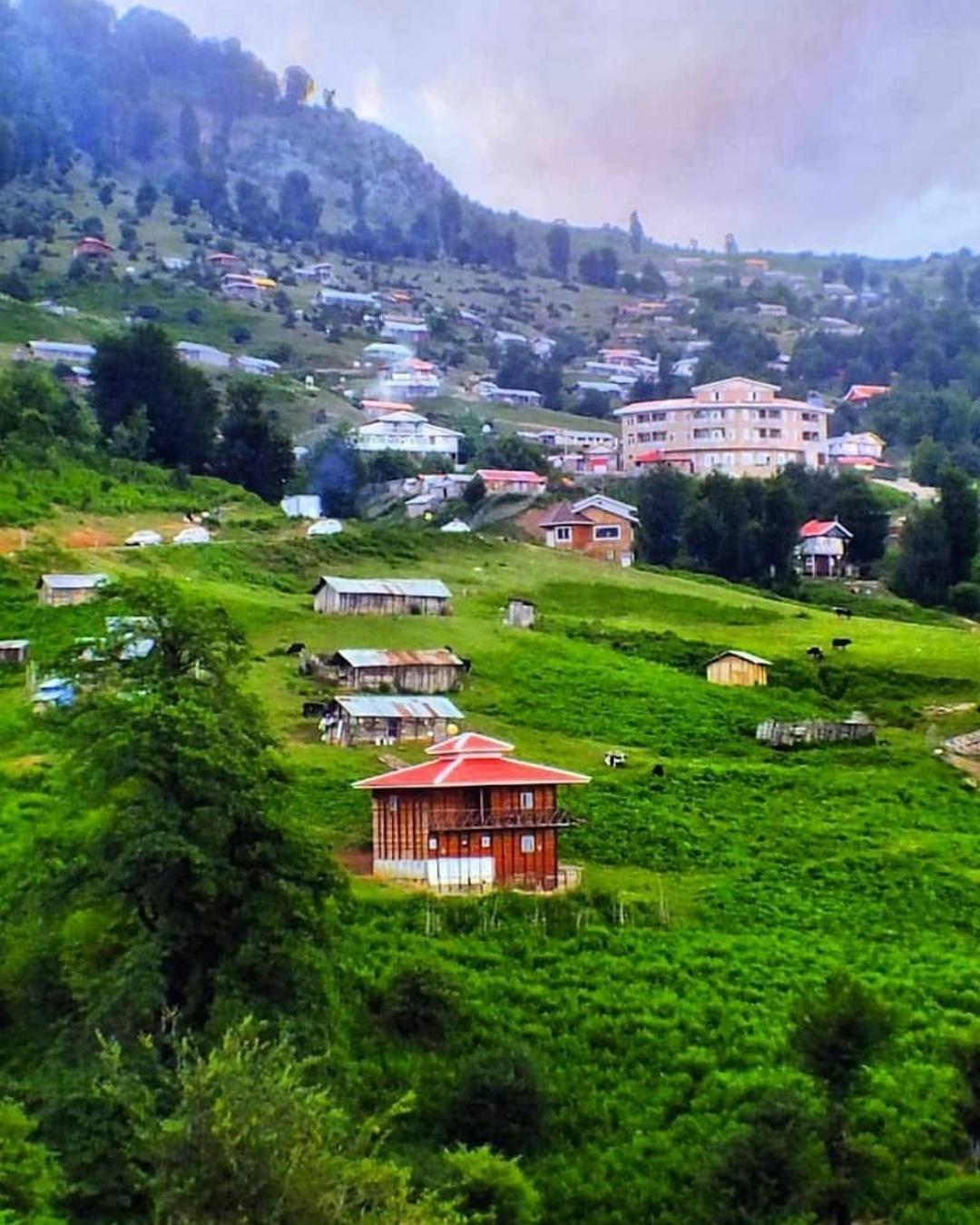 روستای هالی دشت