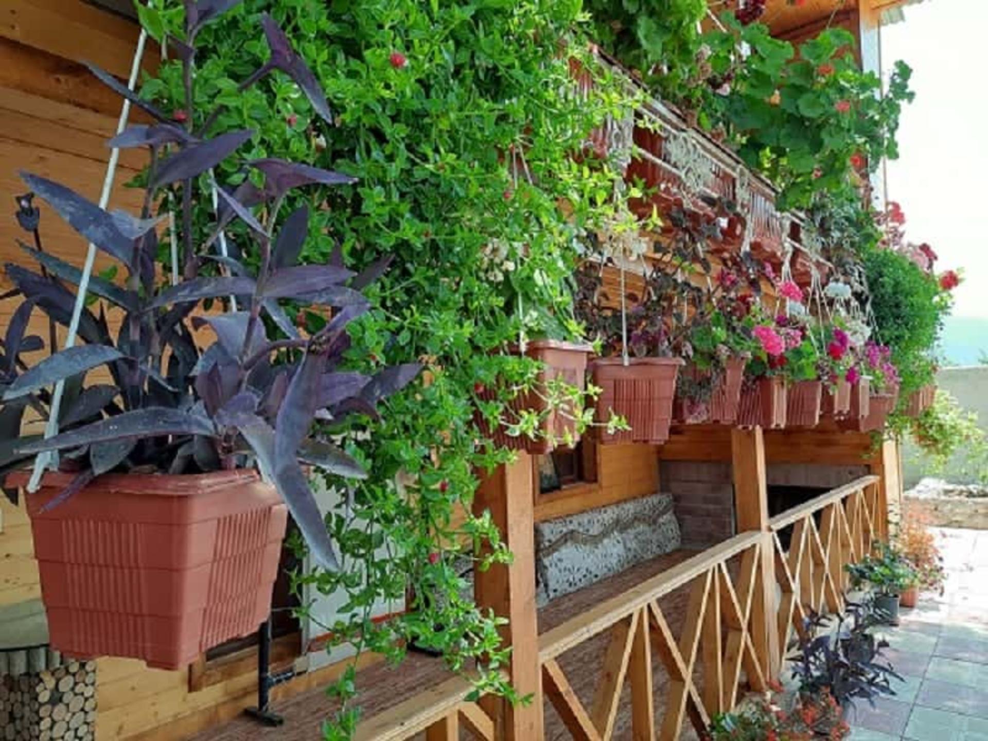 اقامتگاه بومگردی کبودوال علی آباد کتول