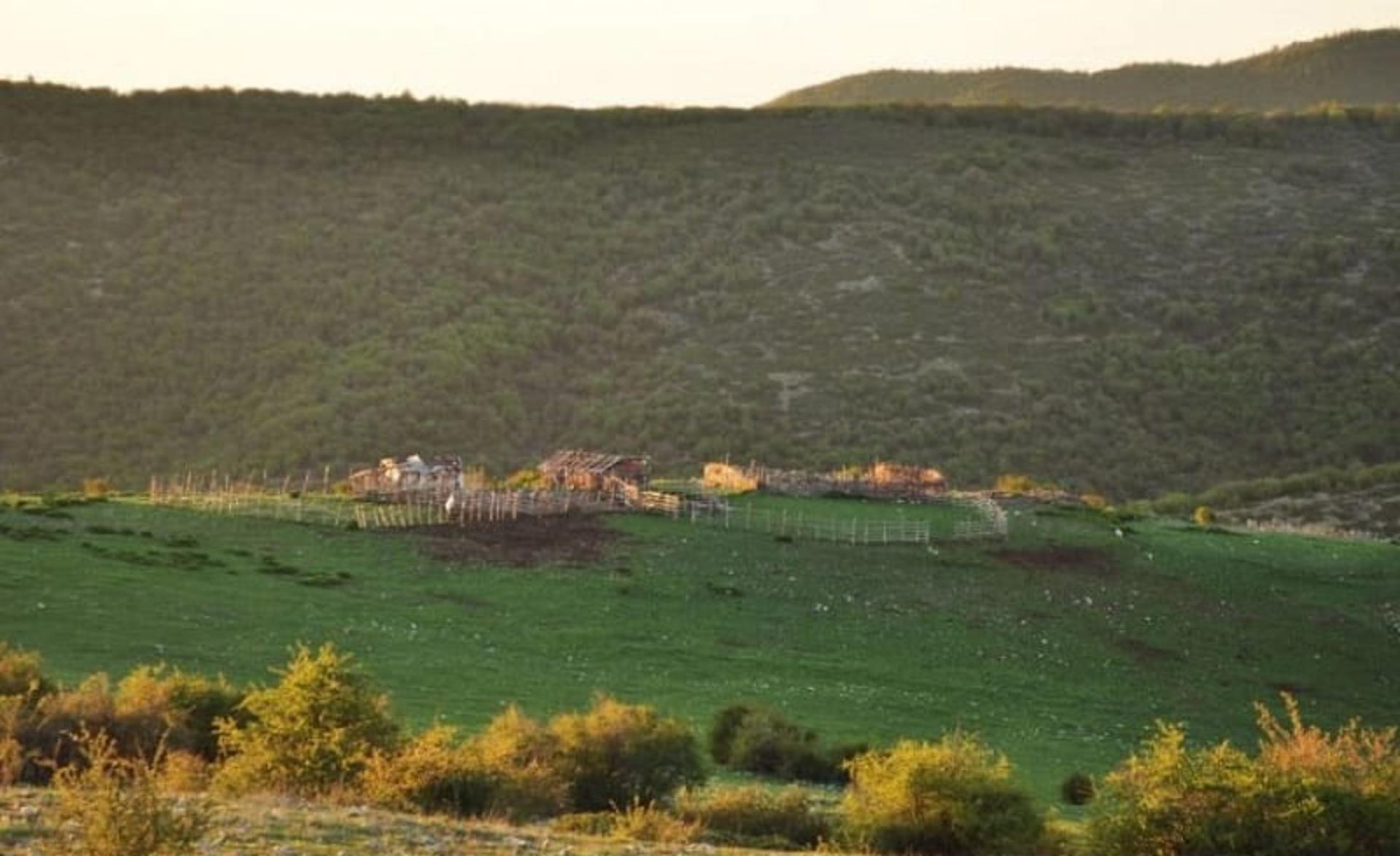 دشت سرسبز در روستای زیارت