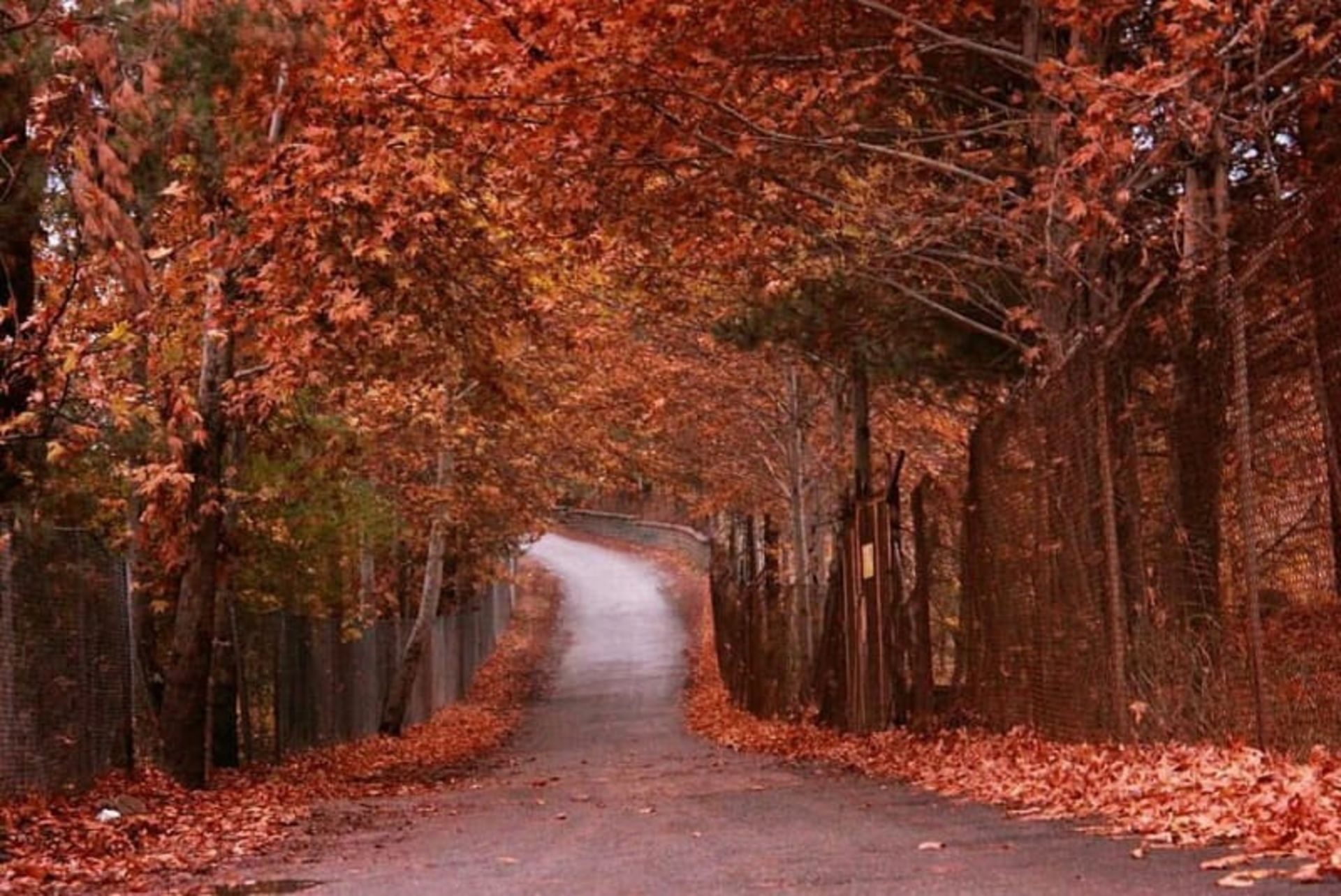 پاییز برغان