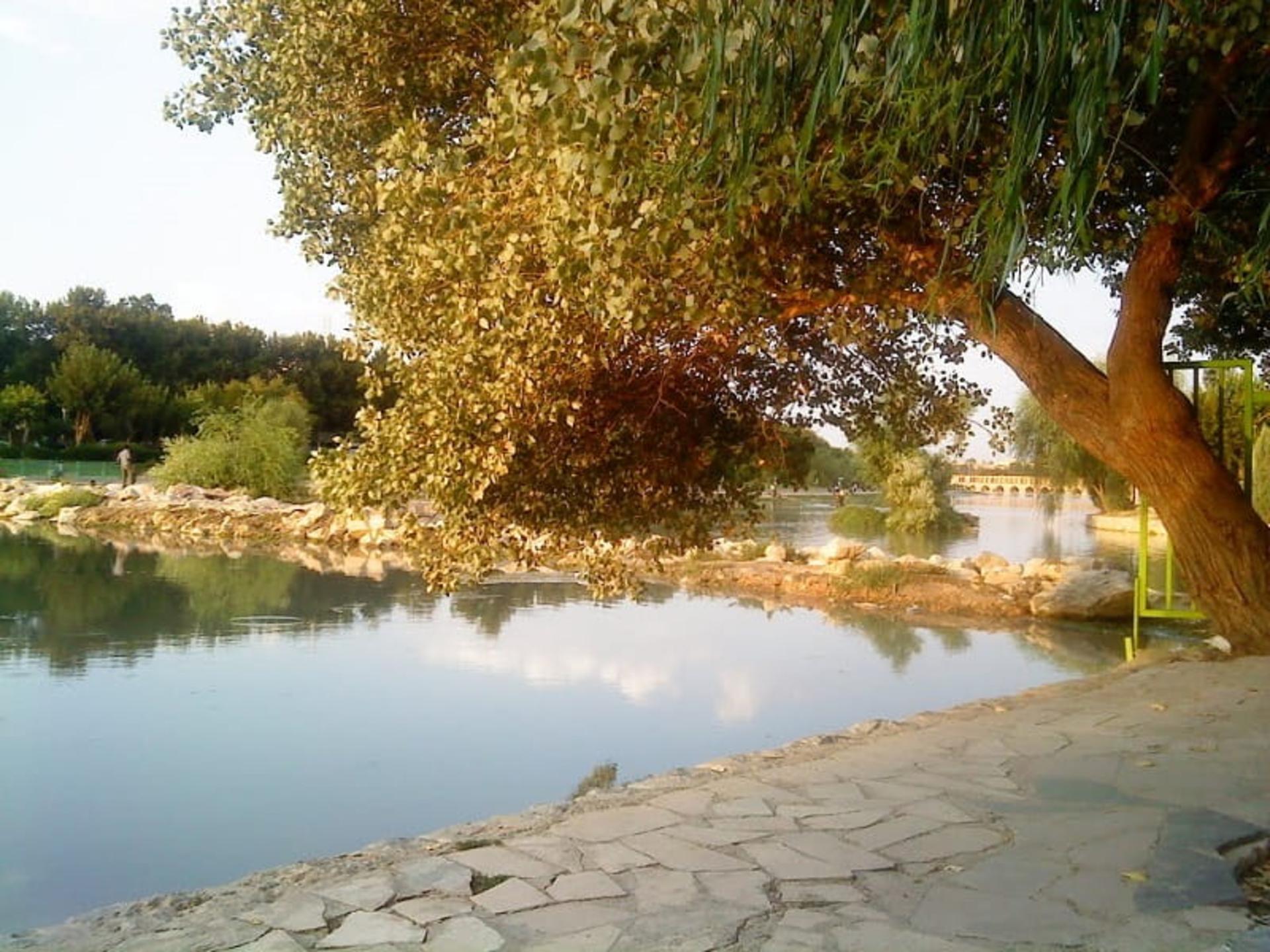 درختان سرسبز در حاشیه زاینده رود