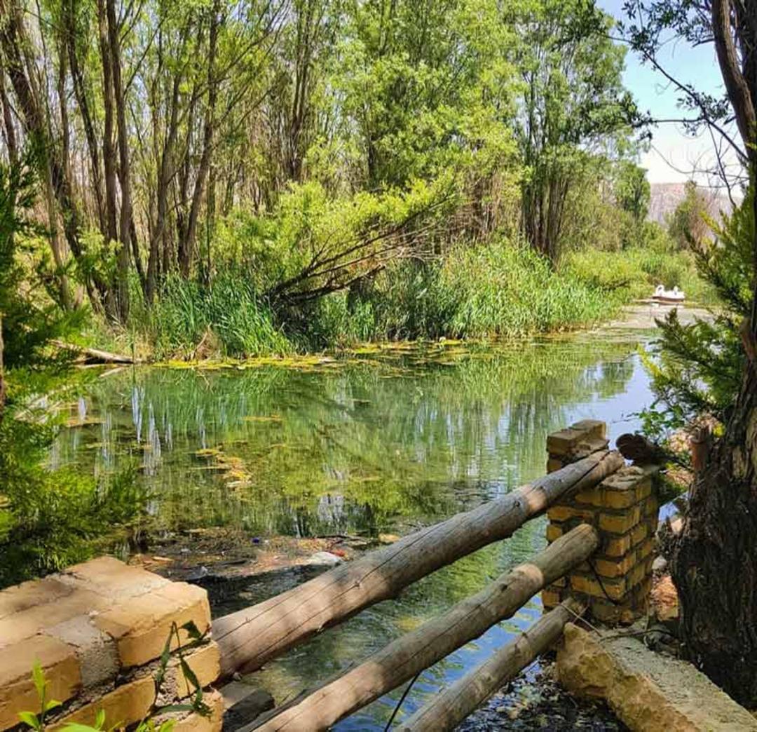رودخانه و درختان دشت ارژن از پشت حصار چوبی