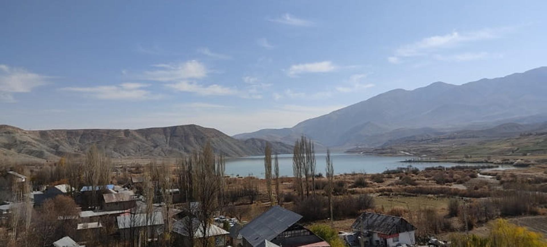 پوشش گیاهی روستای سله بن