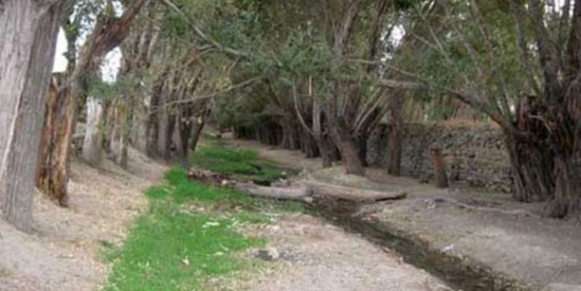 رودخانه بساروج