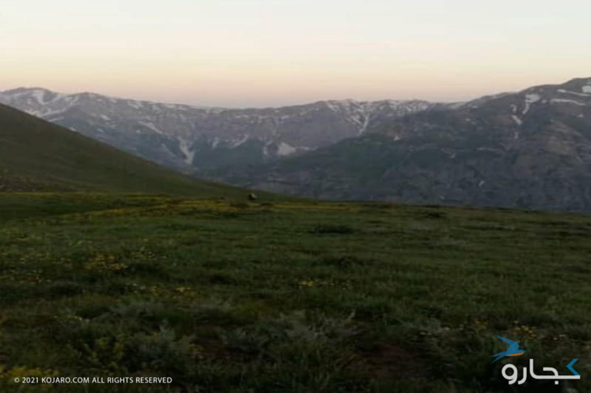 ارتفاع دشت ها در جنگل سه هزار مازندران