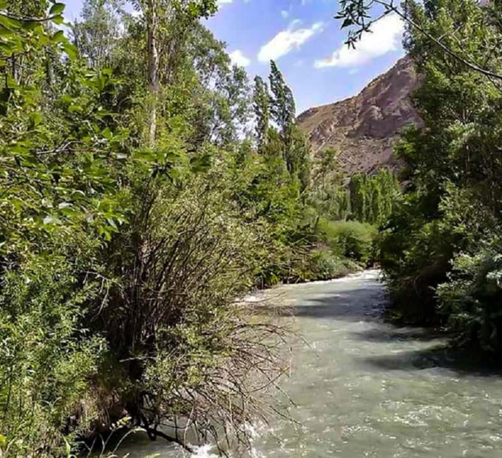 طبیعت جنگل جیغ مشهد 