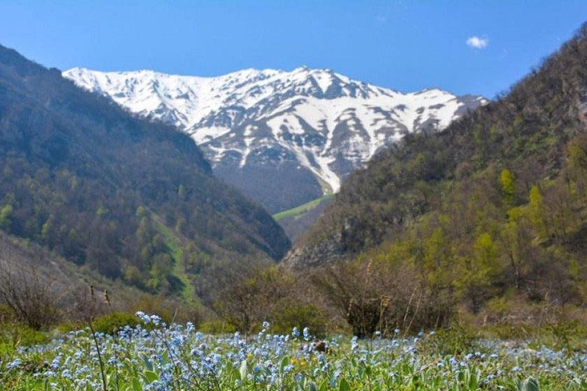 طبیعت بهاری در دشت دریاسر