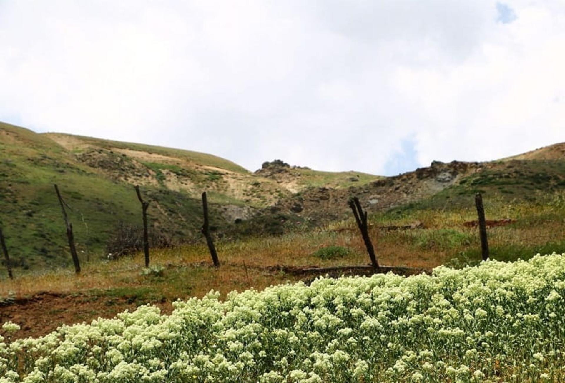 بهار در روستای لاکوم