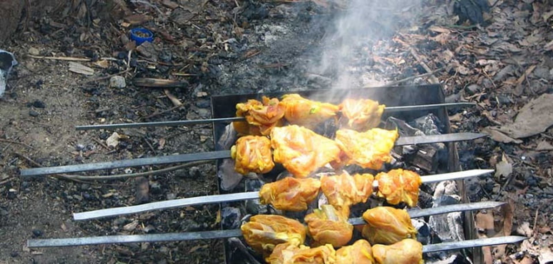 جوجه کباب در پیک نیک در برغان