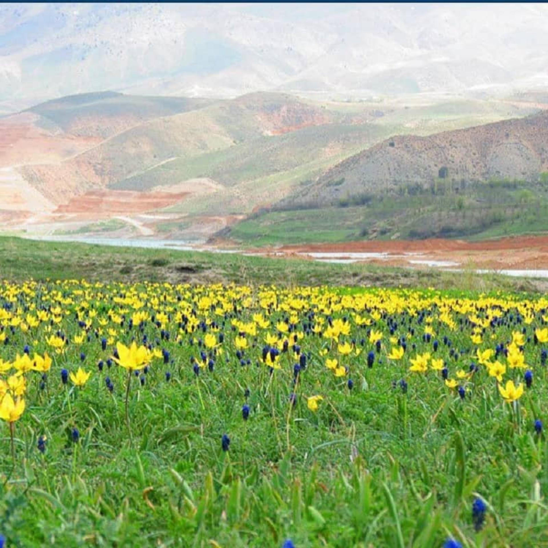 بهار روستای سله بن