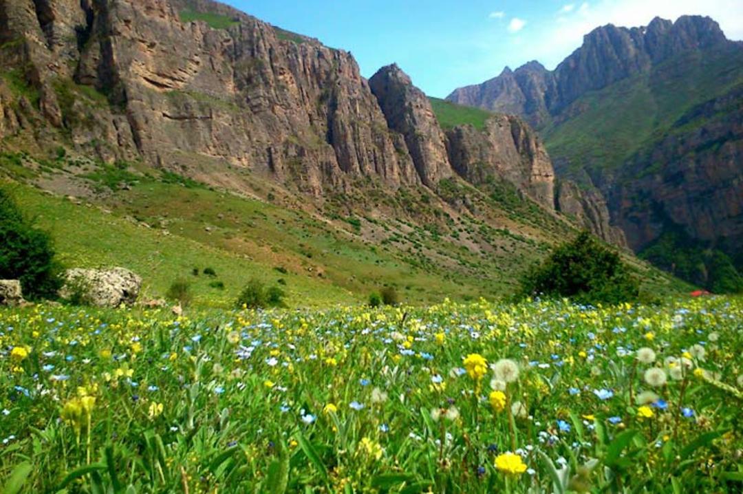 طبیعت روستای هریجان