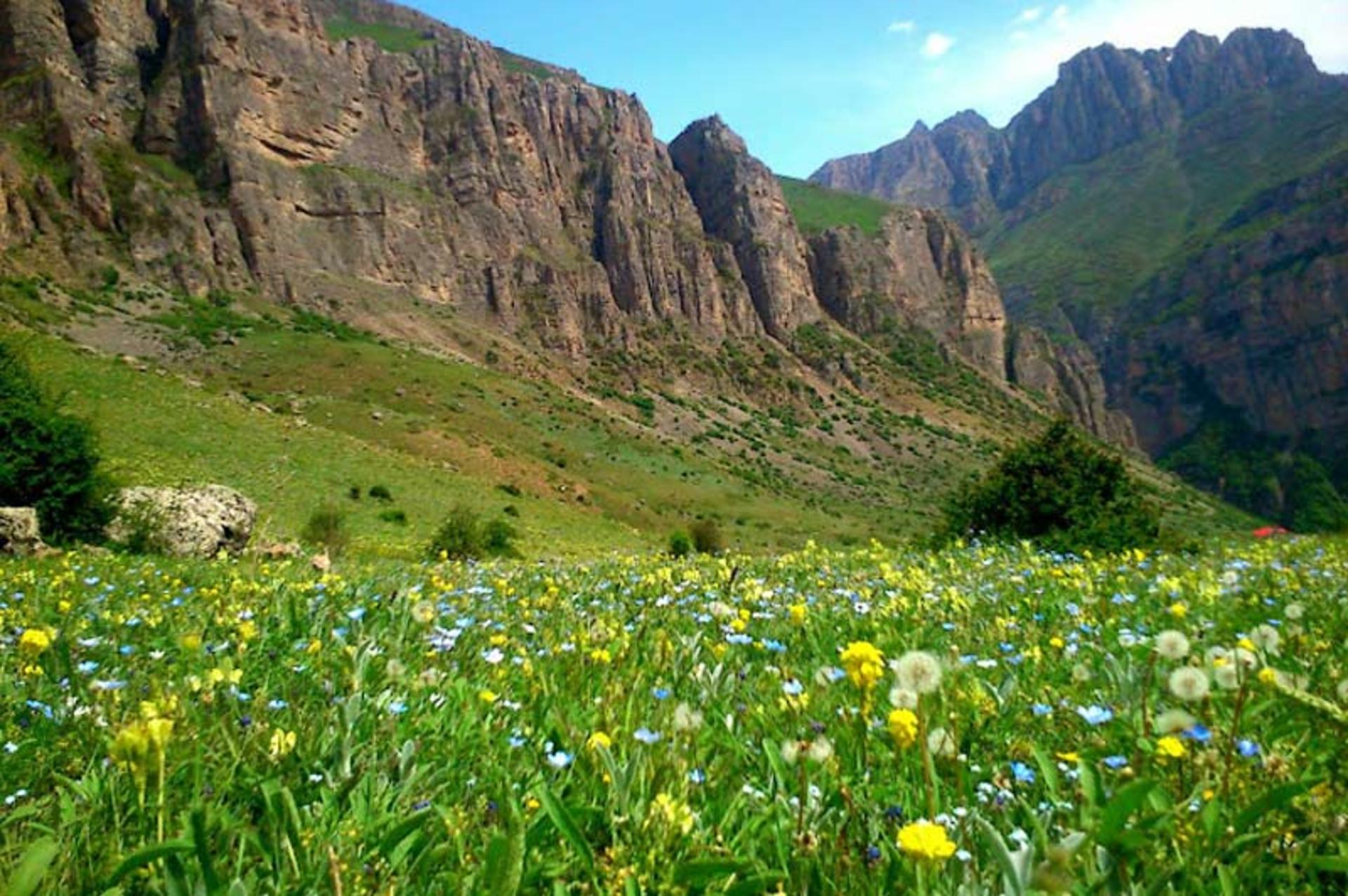 طبیعت روستای هریجان