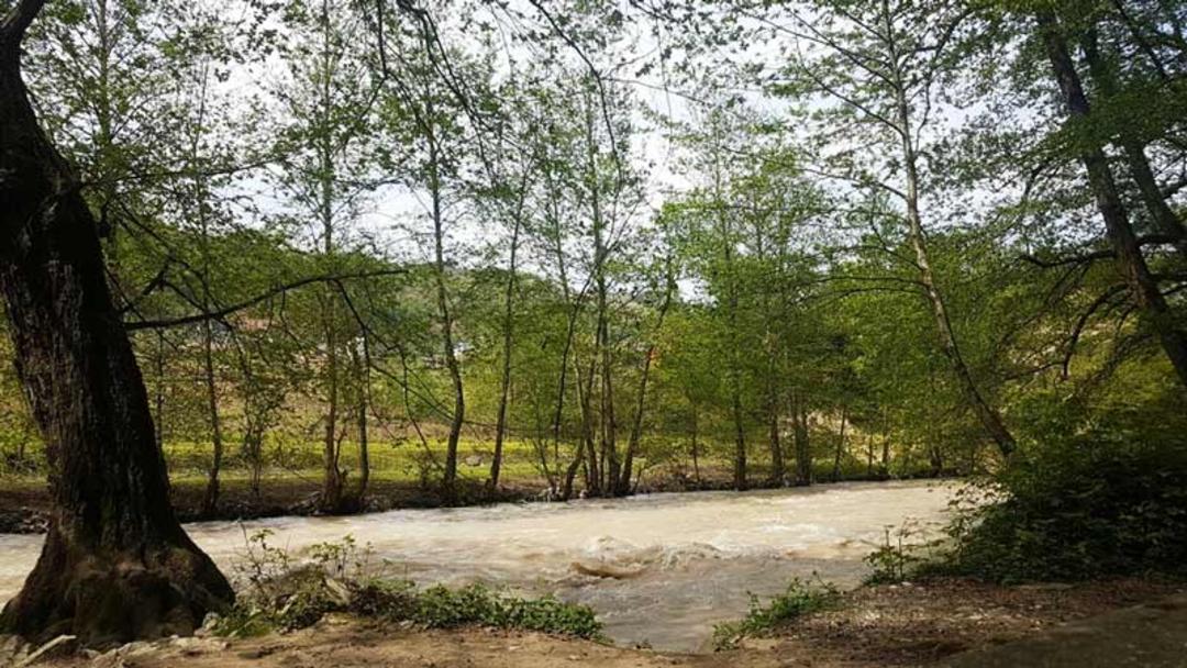 طبیعت پارک جنگلی فین چالوس